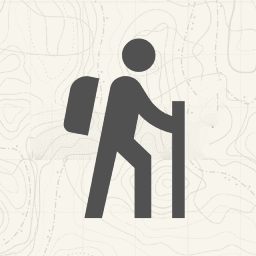 Raul Adolfo  Pavez Silva