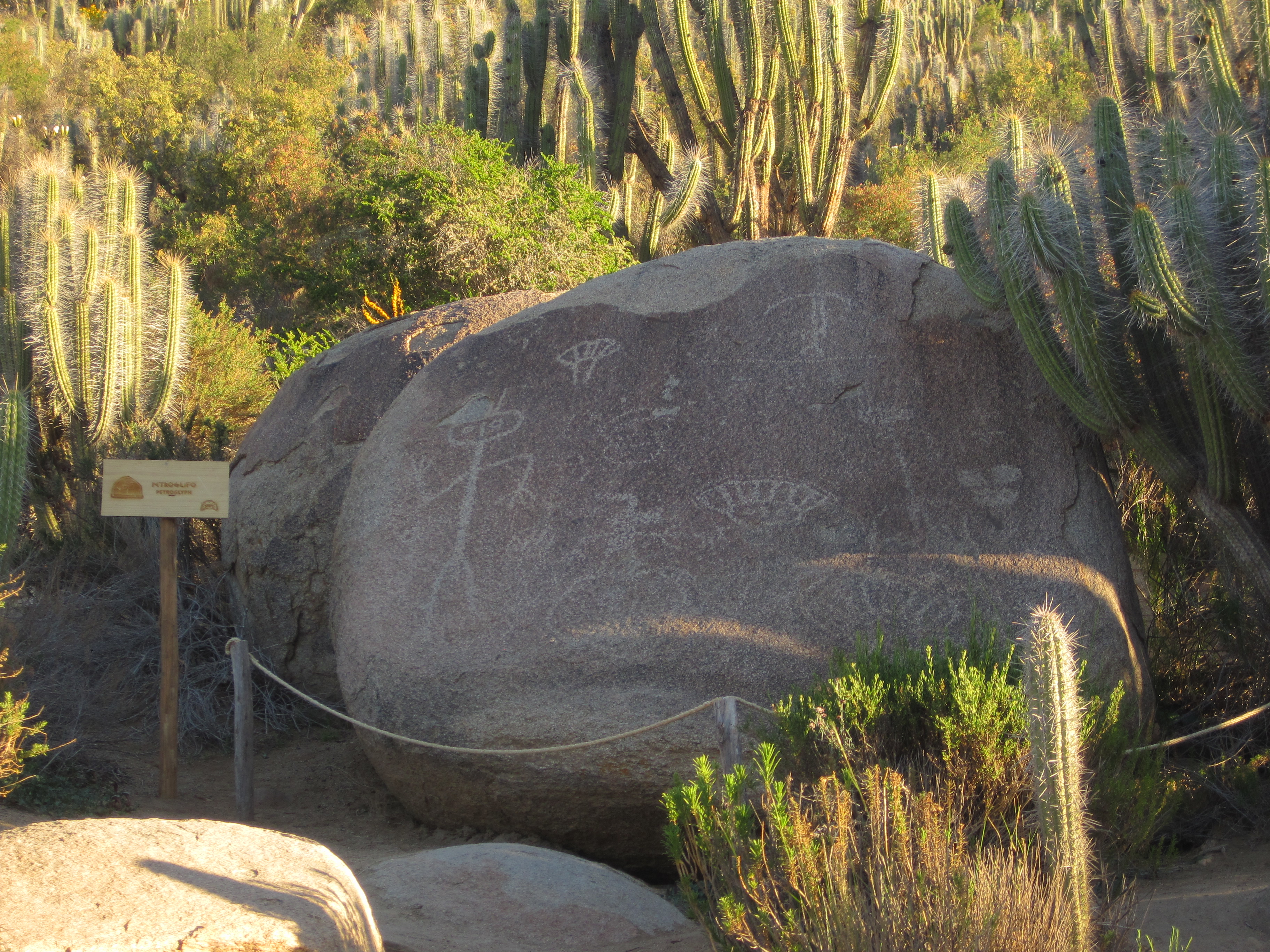 Petroglifos del Valle del Encanto