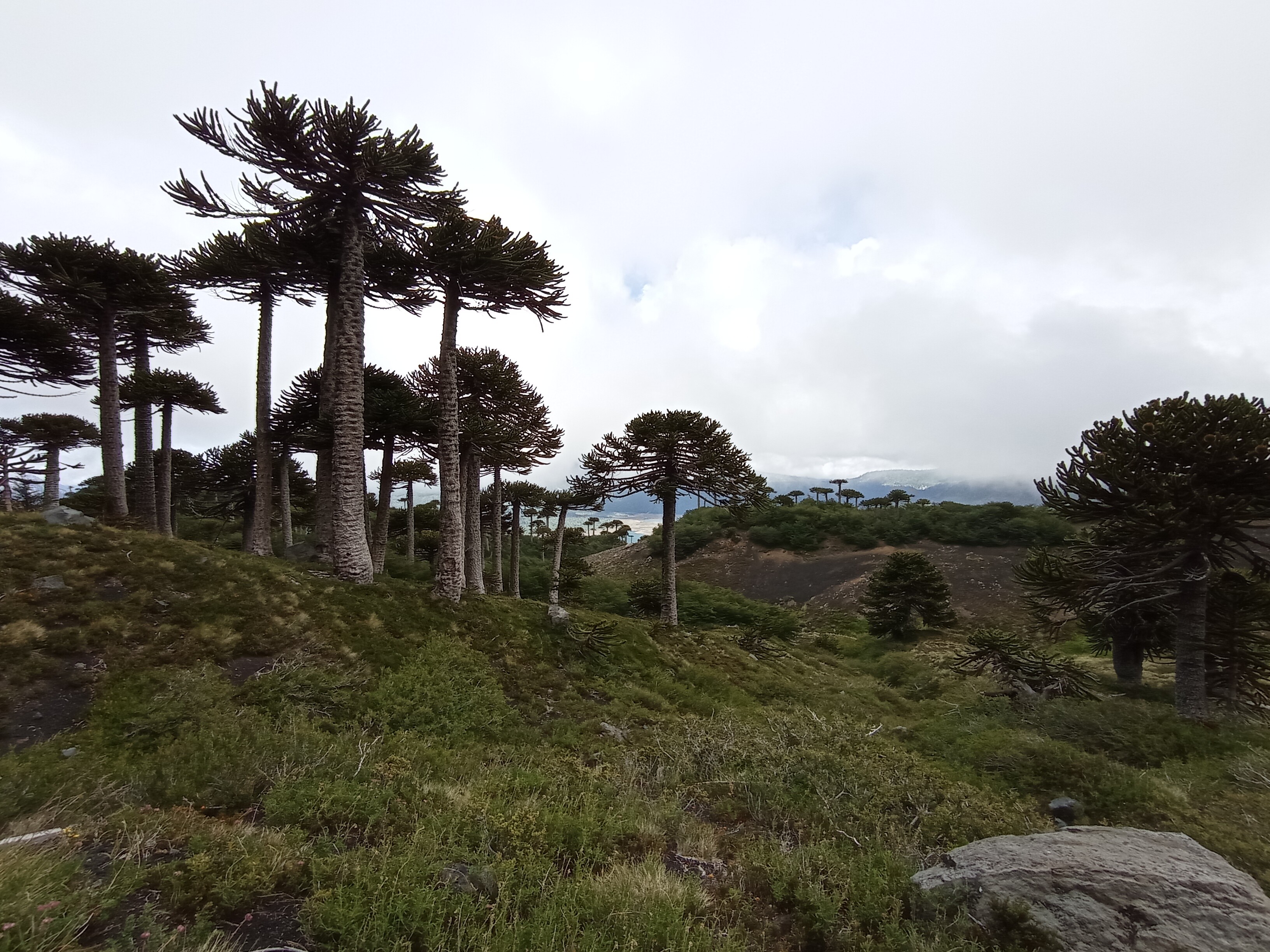 Mirador Sierra Nevada