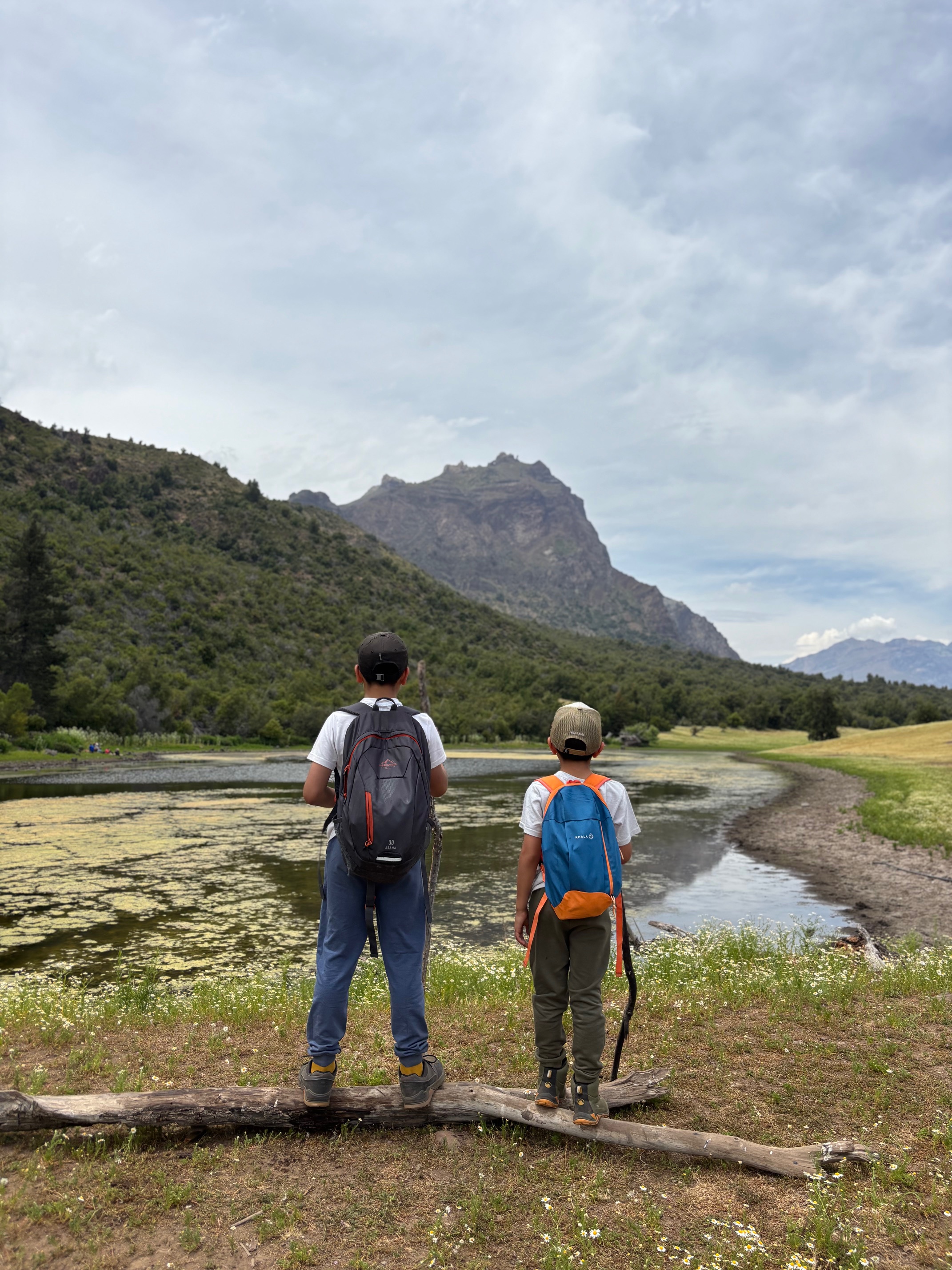 Laguna del Venado